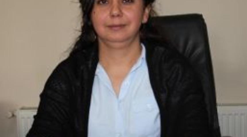 Dişi Buzağılara Brucella Hastalığına Karşı Aşı Yapılıyor