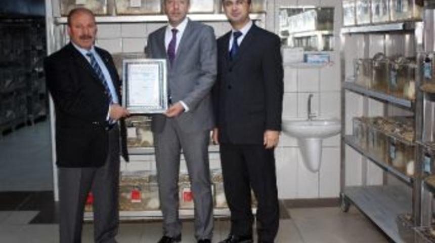 Atadem&rsquo;e Bakanlıktan Bir İzin Daha