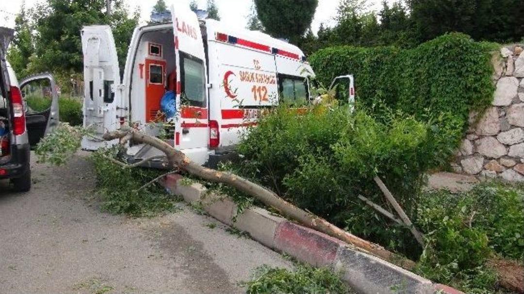 Hastaya Giden Ambulans Kaza Yaptı
