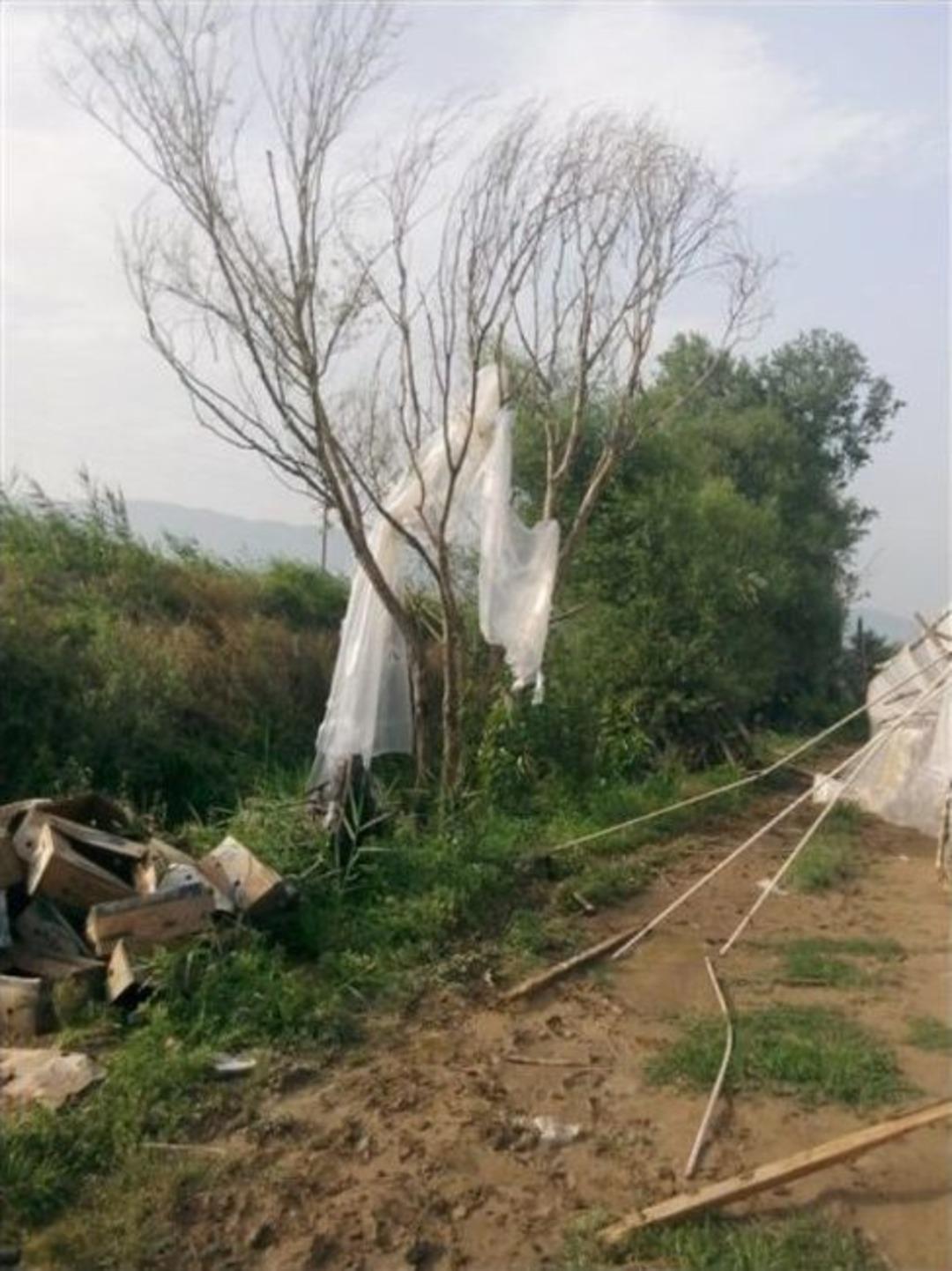 Pamukova&rsquo;da Şiddetli Yağmur &Ccedil;ift&ccedil;iyi Mağdur Etti