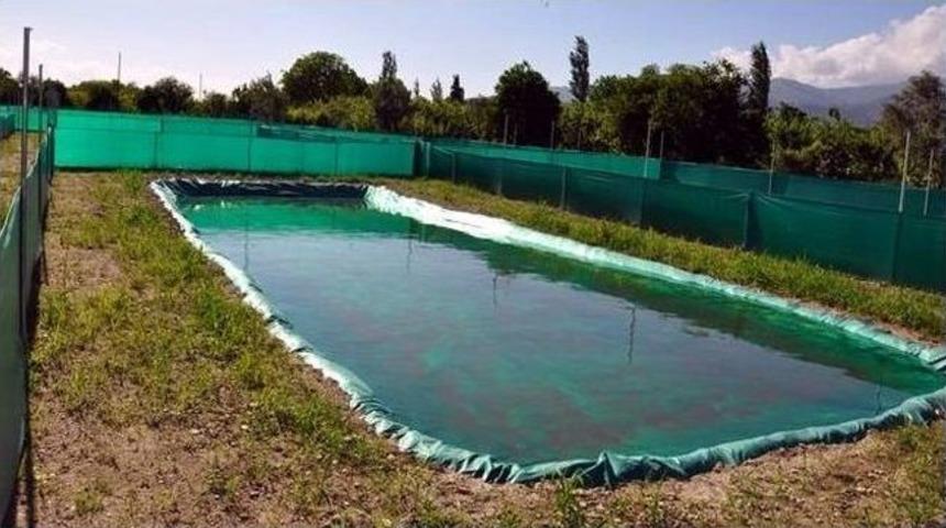 Tkdk&rsquo;dan Kurbağa Yetiştiriciliğine Destek