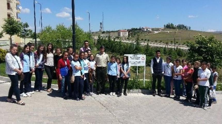 Keskin&rsquo;deki Hatıra Ormanı'na Fidan Dikildi