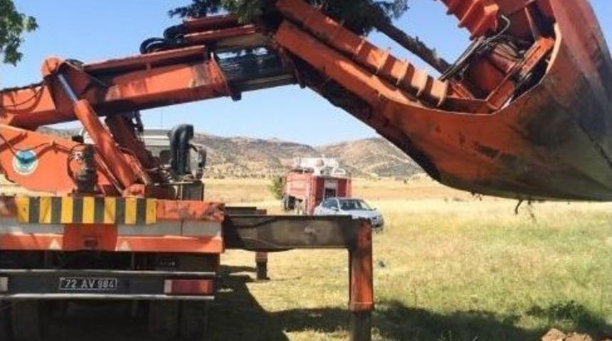 S&ouml;k&uuml;len Ağa&ccedil;lar G&ouml;let Etrafına Dikiliyor