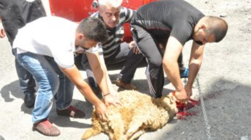 15 yıl ruhsat bekledi, 1 g&uuml;nde aldı..