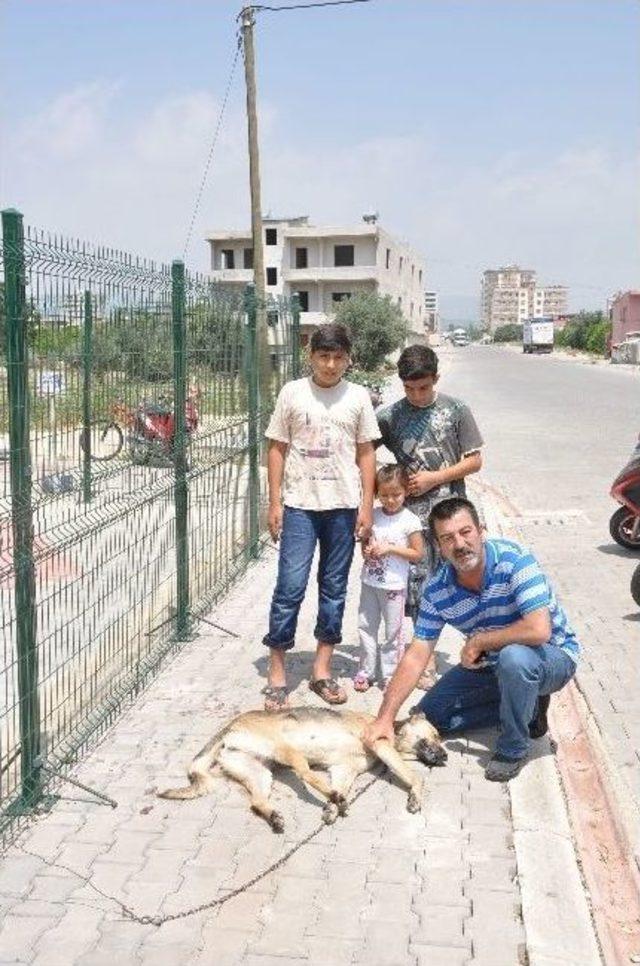 Köpeği Önce Motosikletin Arkasına Bağlayıp Sürükledi, Sonra Ölüme Terk Etti