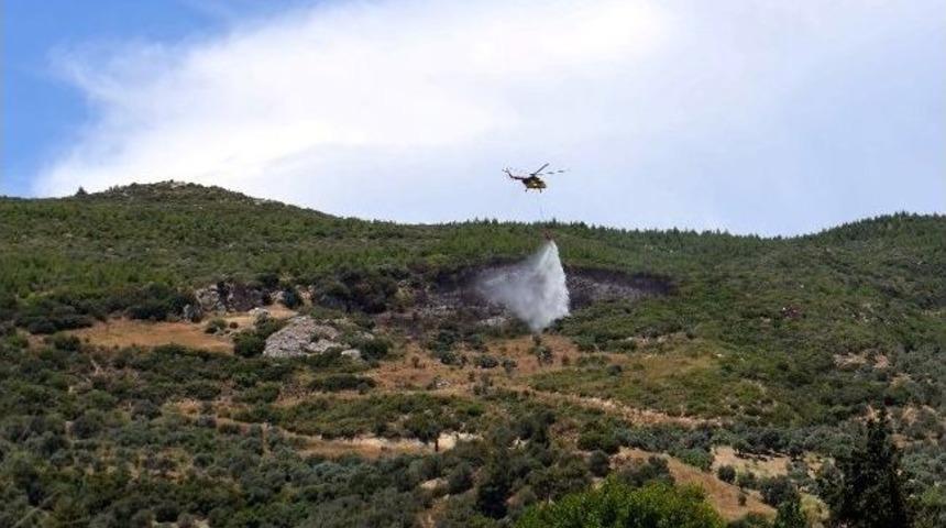 S&ouml;ke&rsquo;de Orman Yangını