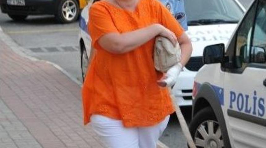 Polonyalı Turist K&ouml;peğin Saldırısına Uğradı