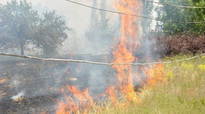 Meyve Bah&ccedil;esi Yangında K&uuml;l Oldu