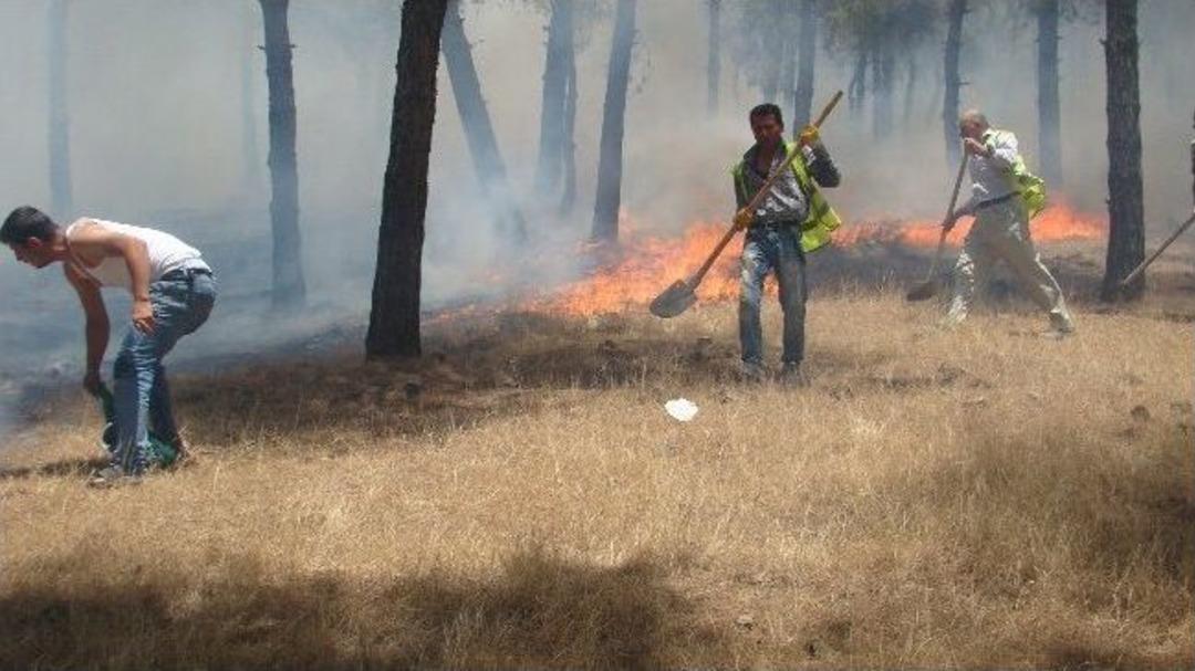 Hatay'da Orman Yangını