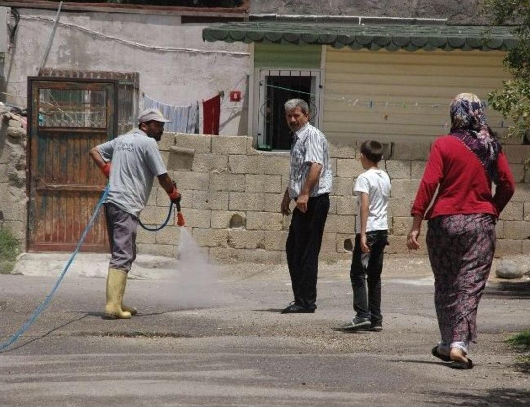 Adıyaman'da Bir Mahalleyi Pireler Bastı