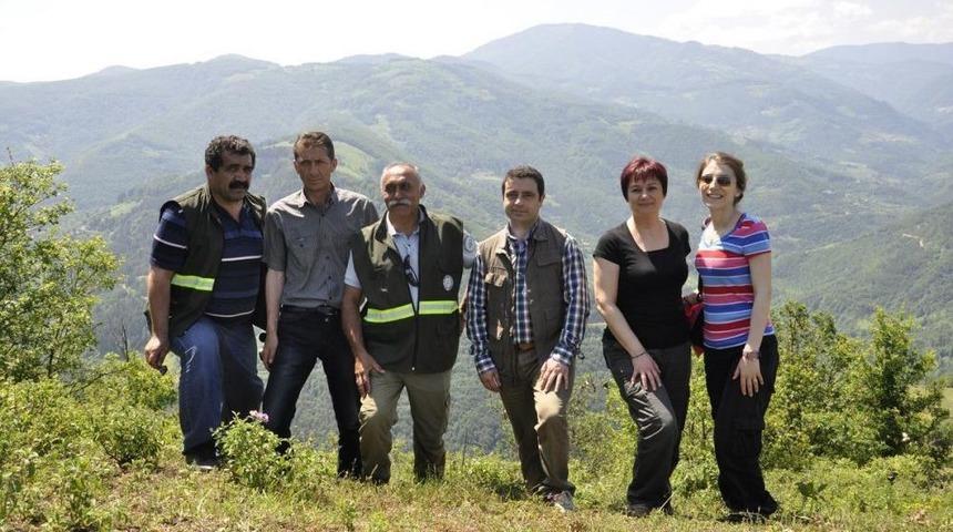 Kastamonu'da Yaban Hayatı Koruma Faaliyetleri