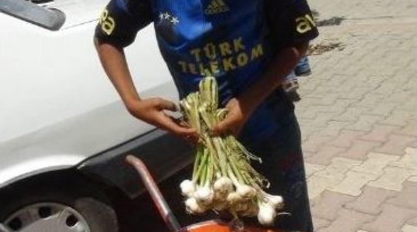 Yaz Tatilini &Ccedil;alışarak Ge&ccedil;iriyorlar