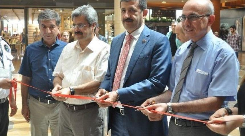 Eyy&uuml;biye Belediyesi Logo Tasarımları Piaazza&rsquo;da