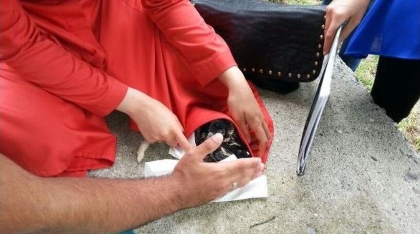 Ağa&ccedil;kakan Yavruları R&uuml;zgarda Yuvalarından D&uuml;şt&uuml;