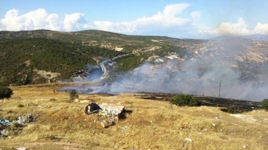 Fo&ccedil;a'da 3 Hektarlık Alan K&uuml;l Oldu