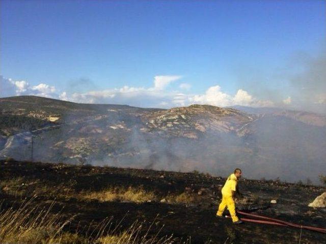 Fo&ccedil;a da 3 Hektarlık Alan K&uuml;l Oldu 1