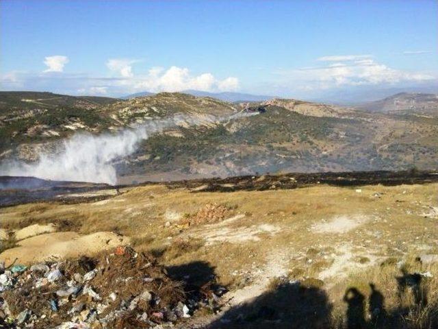 Fo&ccedil;a da 3 Hektarlık Alan K&uuml;l Oldu 3