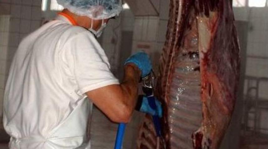 Et Fiyatlarını D&uuml;ş&uuml;rmek İ&ccedil;in Irk D&ouml;n&uuml;ş&uuml;m&uuml; Şart