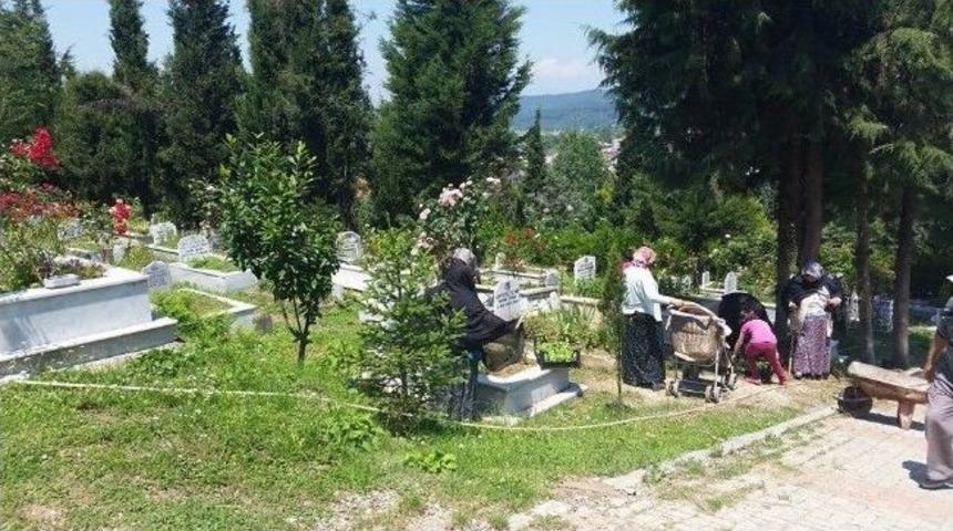 Kaynaşlı&rsquo;da Mezarlığa 7 Bin &Ccedil;i&ccedil;ek Dikildi