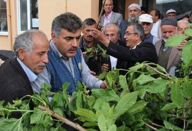 Kastamonu Orman Bölge Müdürü Şahin Köyleri Gezerek Dert Dinliyor 2