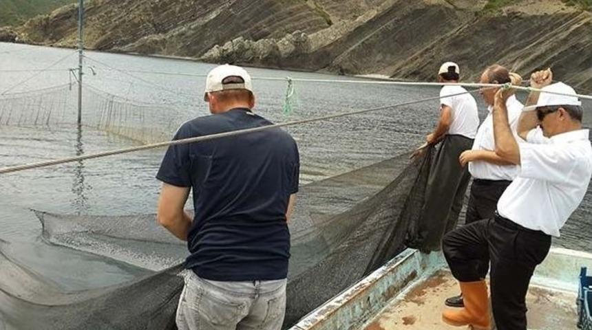 Ağ Dalyan İşletmelerine Denetim Yapıldı