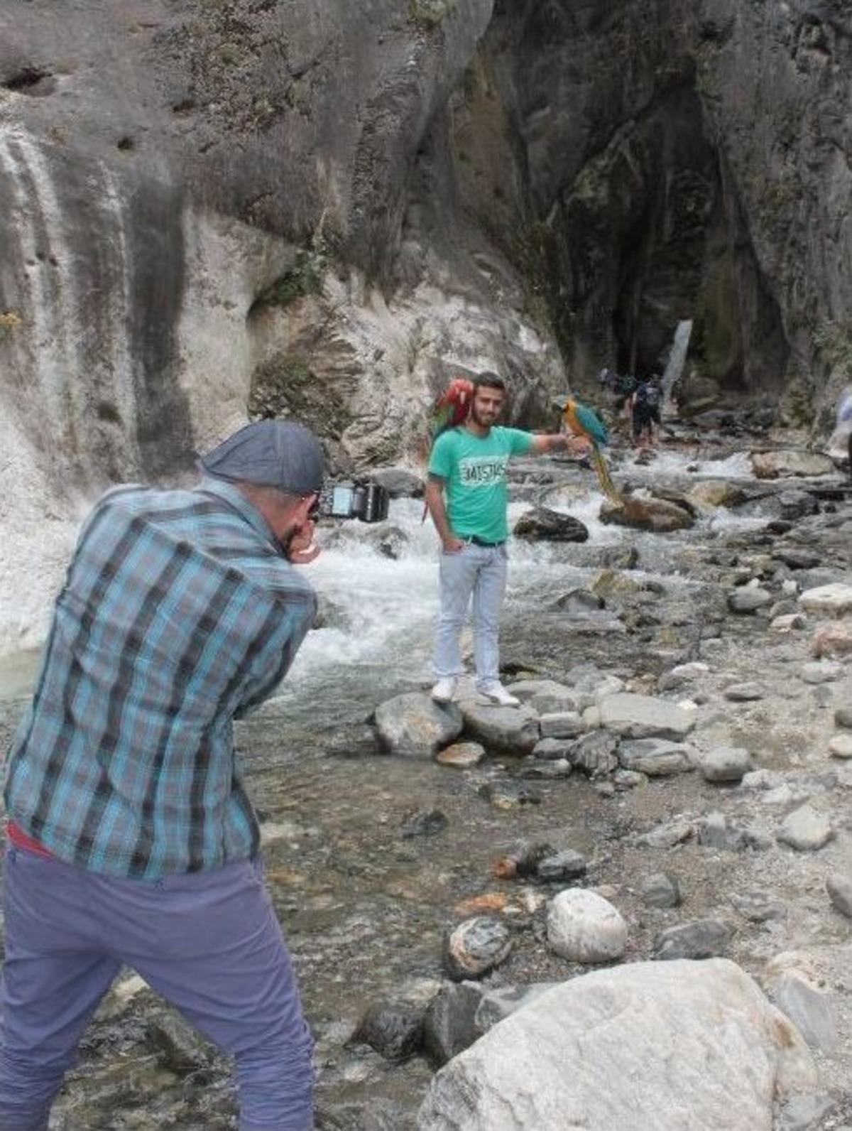 (&ouml;zel Haber) Bu Papağanlar Turizme Hizmet Ediyor