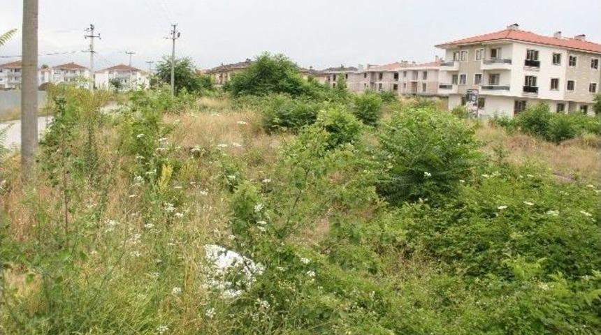 İkinci Adres Aziziye Ve Mergi&ccedil; Mahalleleri