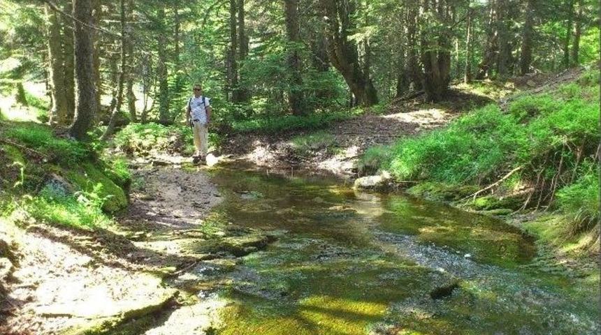 Evliya &Ccedil;elebi Yolu 375 Yıl Sonra Tekrar Y&uuml;r&uuml;n&uuml;yor