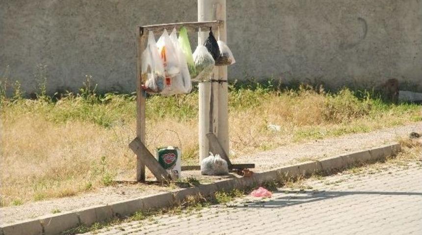 Kenar Mahallelerdeki Vatandaşın İlgin&ccedil; &Ccedil;&ouml;p Koruma Y&ouml;ntemi