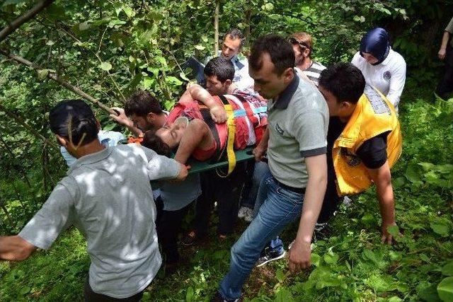 Ordu’da Trafik Kazası: 4 Yaralı