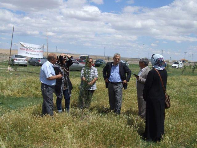 Kulu'da AK Parti Gençlik Kolları Üyeleri Fidan Dikti