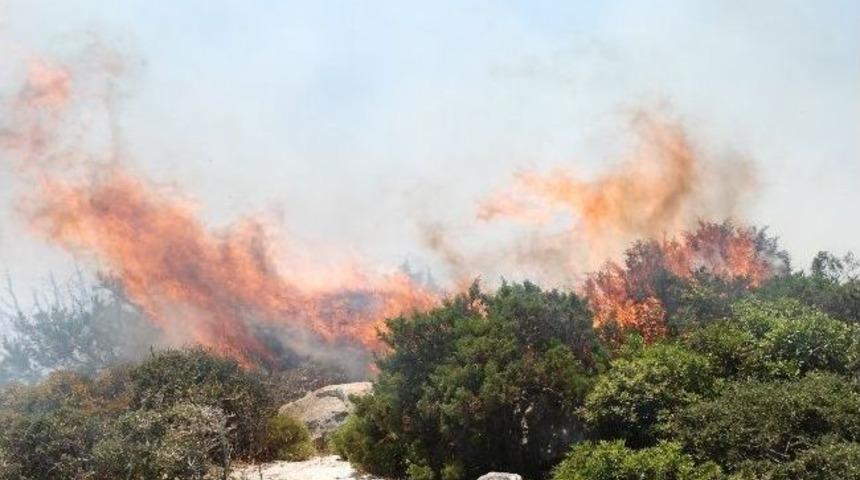 Didim&rsquo;de 30 Dekarlık Makilik Alan K&uuml;l Oldu