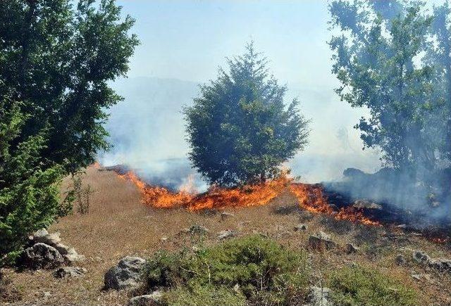 Adıyaman’da Orman Yangını