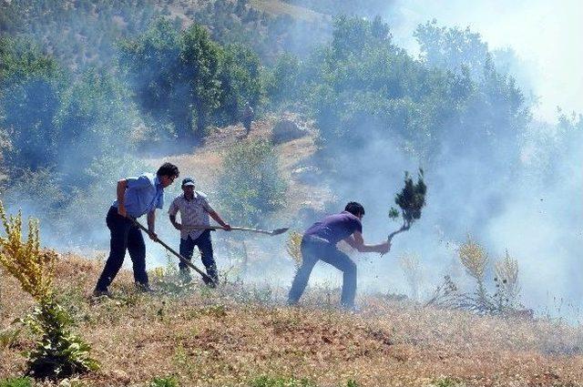 Adıyaman’da Orman Yangını