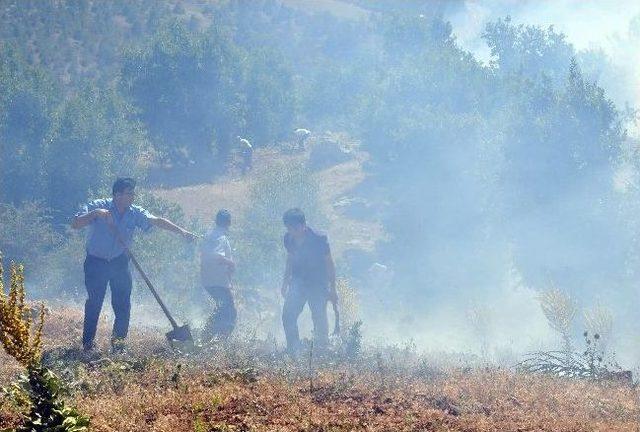 Adıyaman’da Orman Yangını