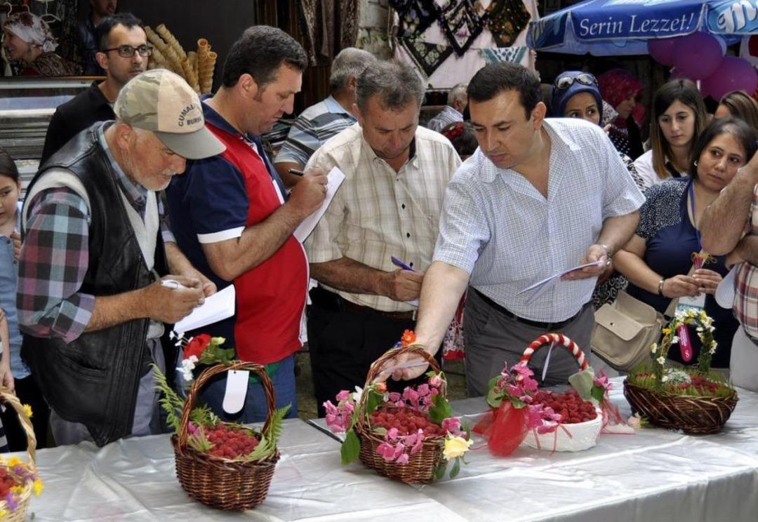 "17. Cumalıkızık Ahududu Şenliği"