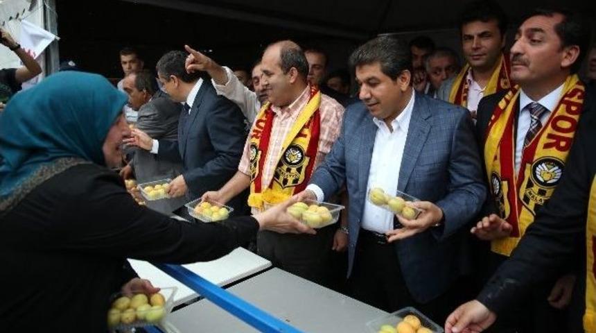 Esenler Kayısı Festivali'nde 3 Ton Kayısı Dağıtıldı