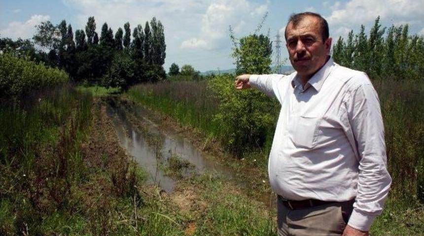 (&ouml;zel Haber) Sanayi Atıkları Y&uuml;z&uuml;nden 600 D&ouml;n&uuml;m Meyve Bah&ccedil;esi Kuruma Tehlikesiyle Karşı Karşıya