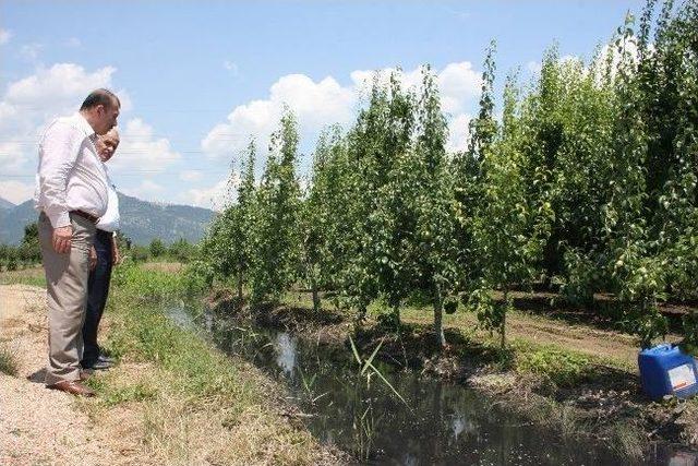 (özel Haber) Sanayi Atıkları Yüzünden 600 Dönüm Meyve Bahçesi Kuruma Tehlikesiyle Karşı Karşıya 1