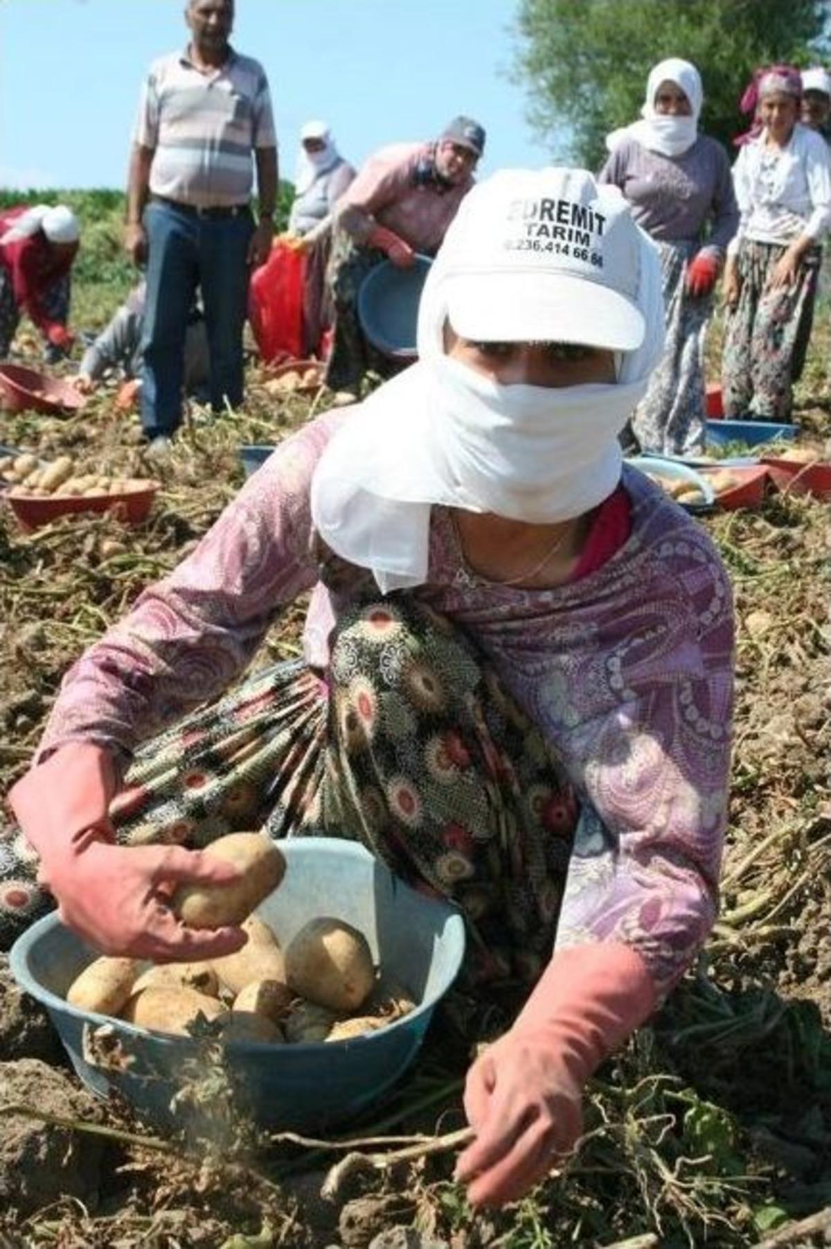 40 Derece Sıcakta Ekmek Savaşı