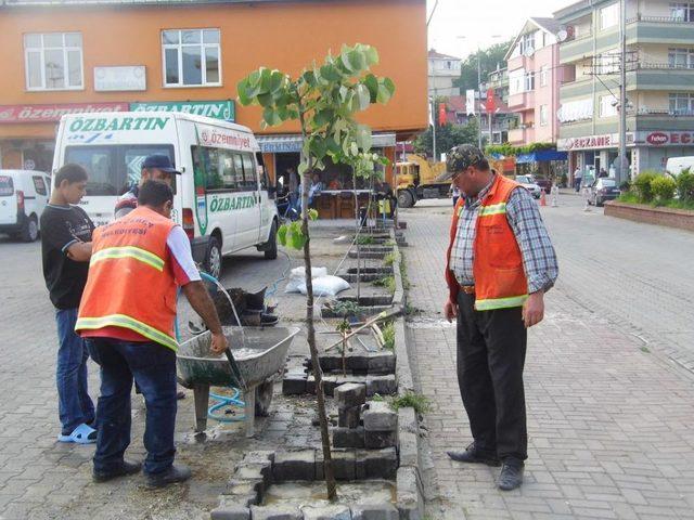 Gökçebey’de Ağaçlandırma Çalışmaları