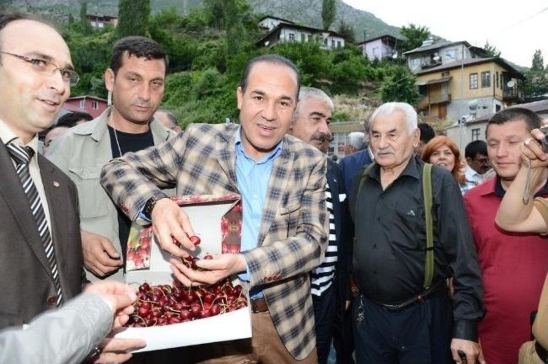 Saimbeyli K&uuml;lt&uuml;r Sanat Ve Kiraz Festivali