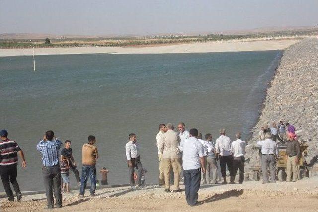 Suruç Ovası Suya Kavuştu 1