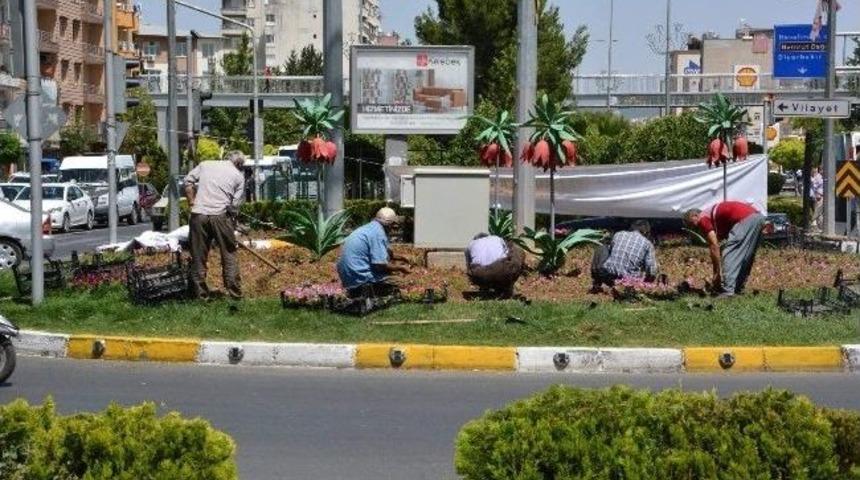 Adıyaman &Ccedil;i&ccedil;eklerle S&uuml;sleniyor