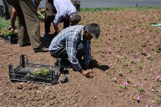 Adıyaman Çiçeklerle Süsleniyor