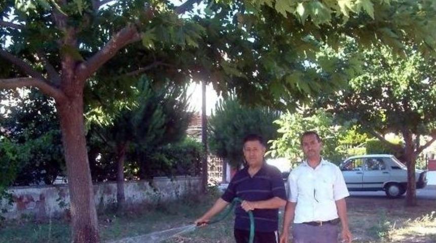 Yeşil Sever Vatandaşlar Takdir Topluyor