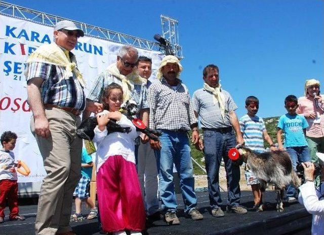 Karaburun   kırkım Şenliği   İle Renklendi 1