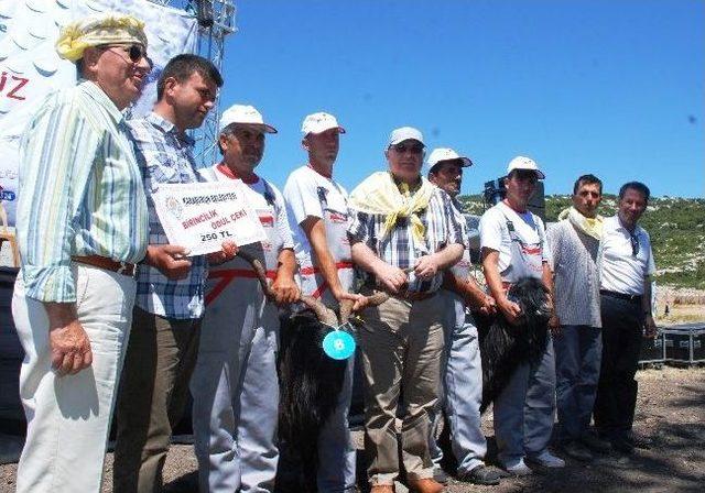 Karaburun   kırkım Şenliği   İle Renklendi 2