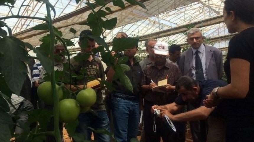 Yemenli Ziraat M&uuml;hendislerine Eğitim