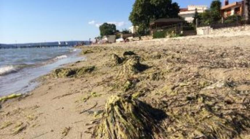 Denizler Temiz, Plajlar Kirli